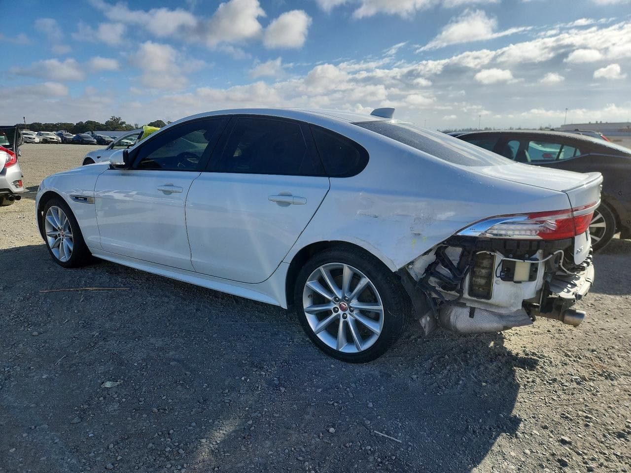 2016 Jaguar Xf R - Sport - foto 2