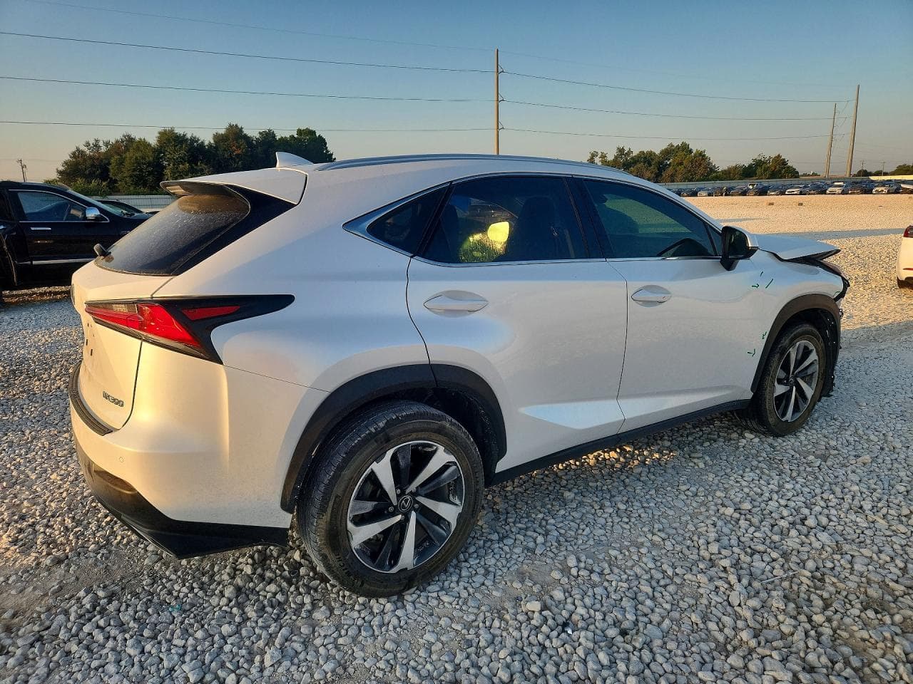 2020 Lexus Nx 300 - foto 3