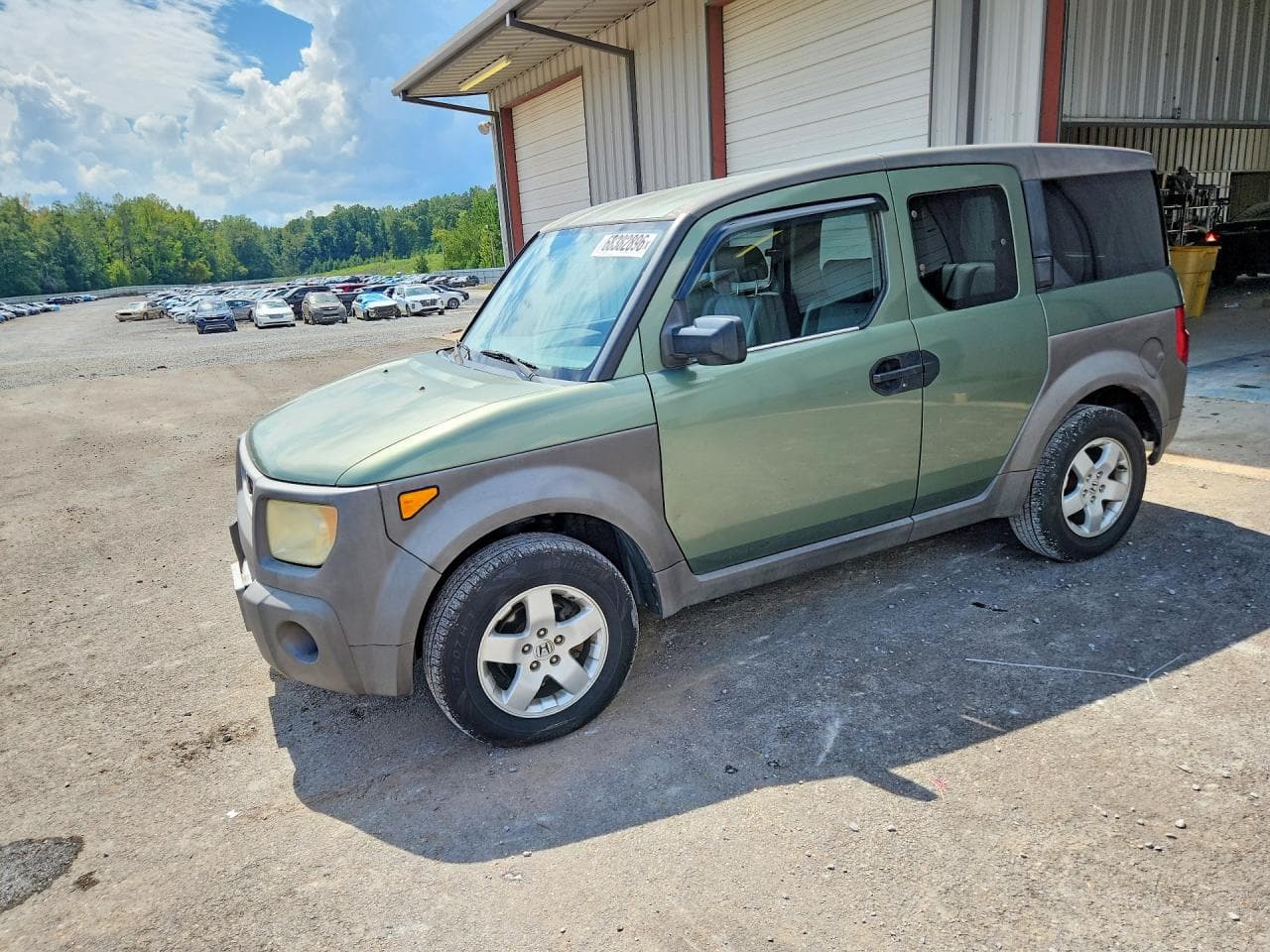 Honda Element 2003 z USA