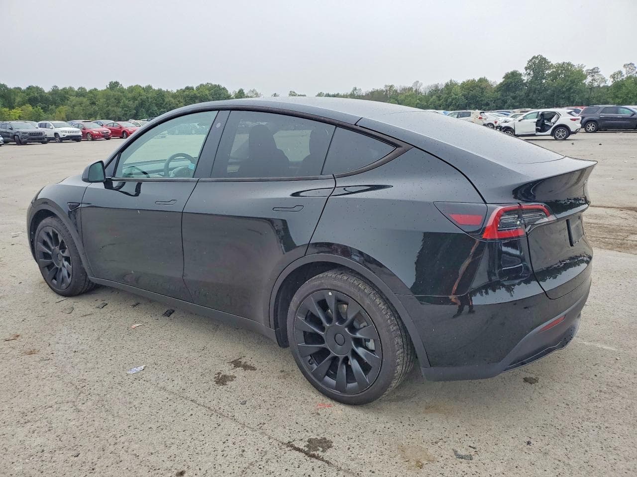 2023 Tesla Model Y - foto 2