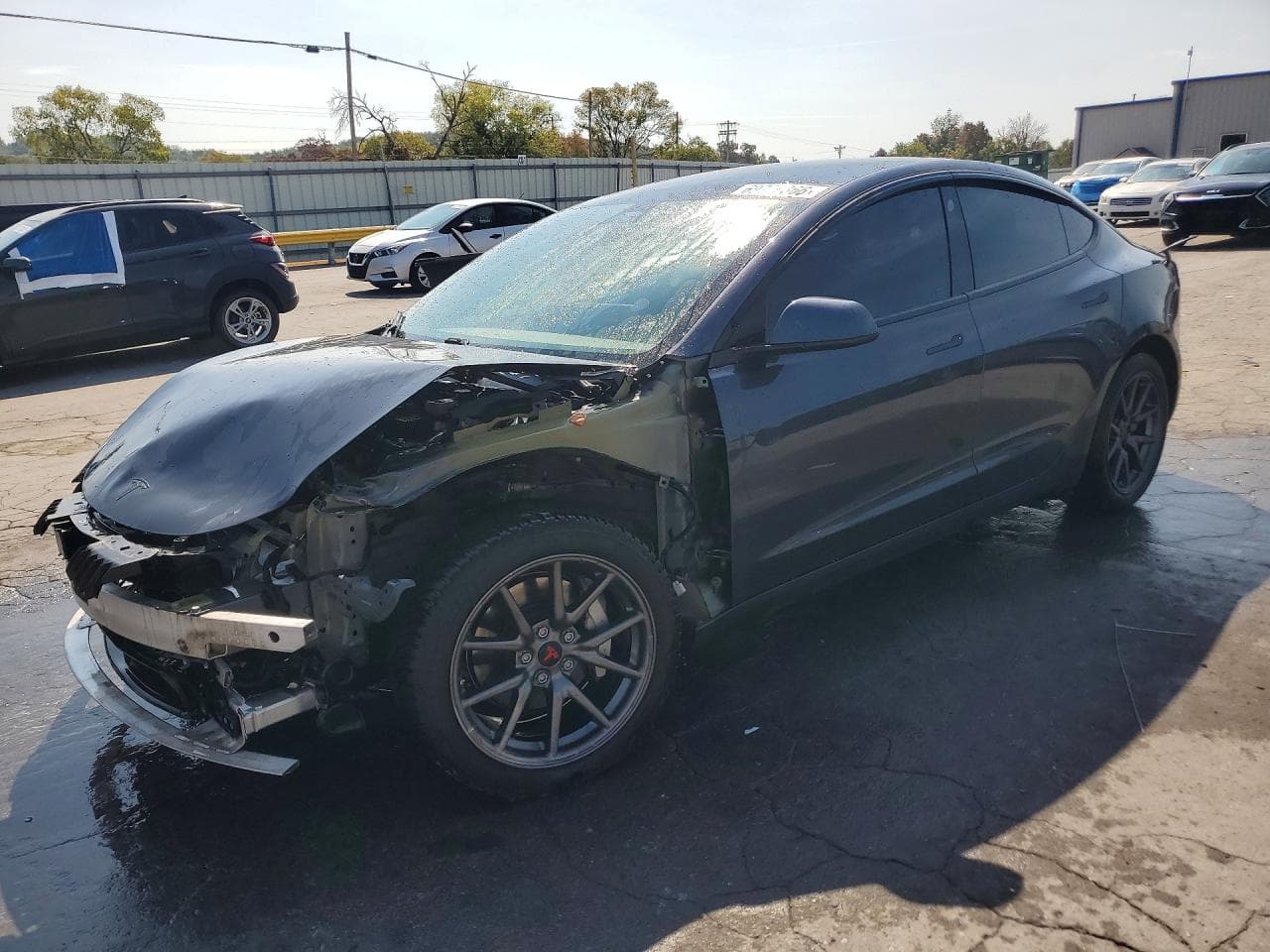 Tesla Model 3 2019 z USA