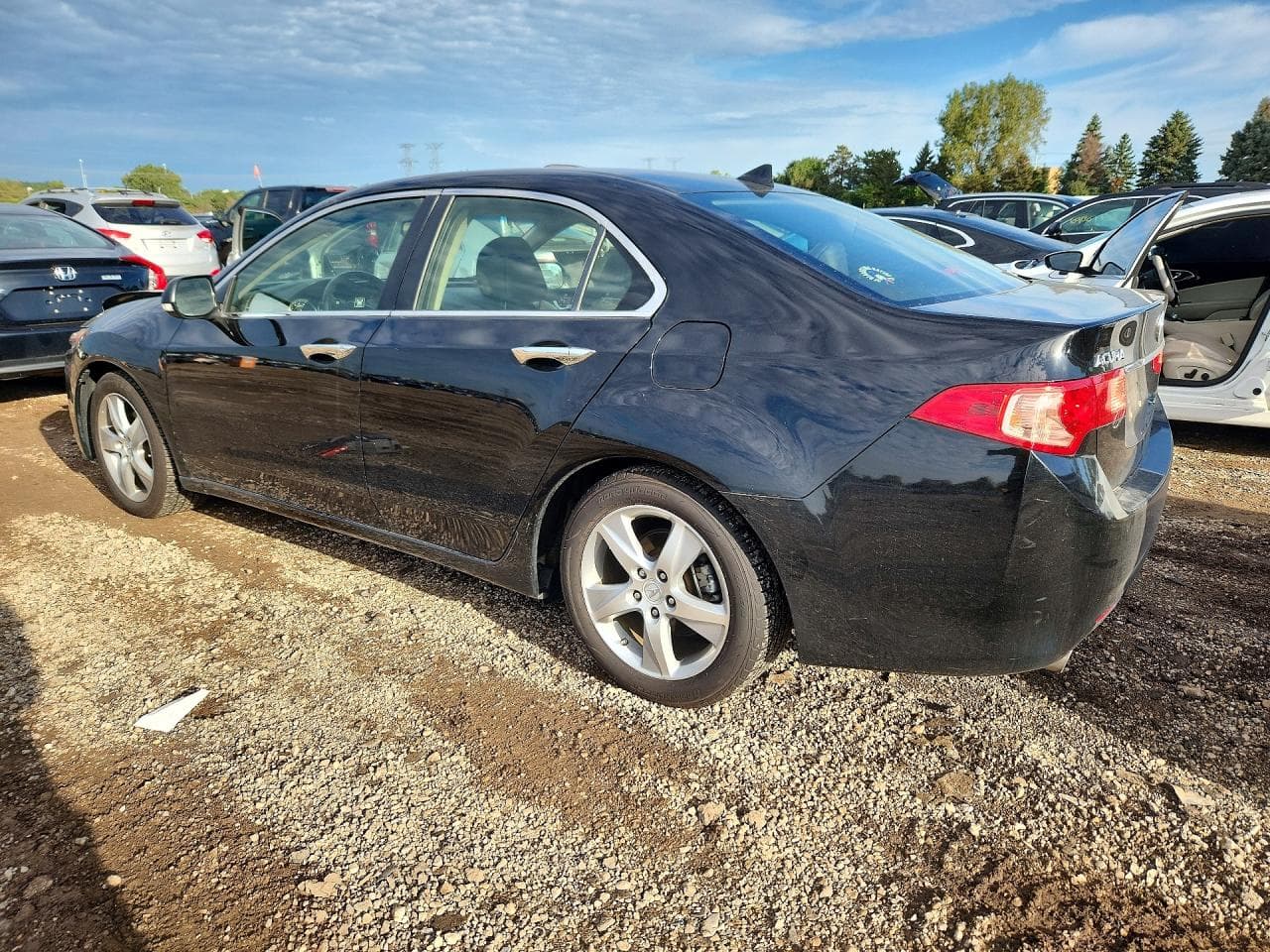 2013 Acura Tsx - foto 2