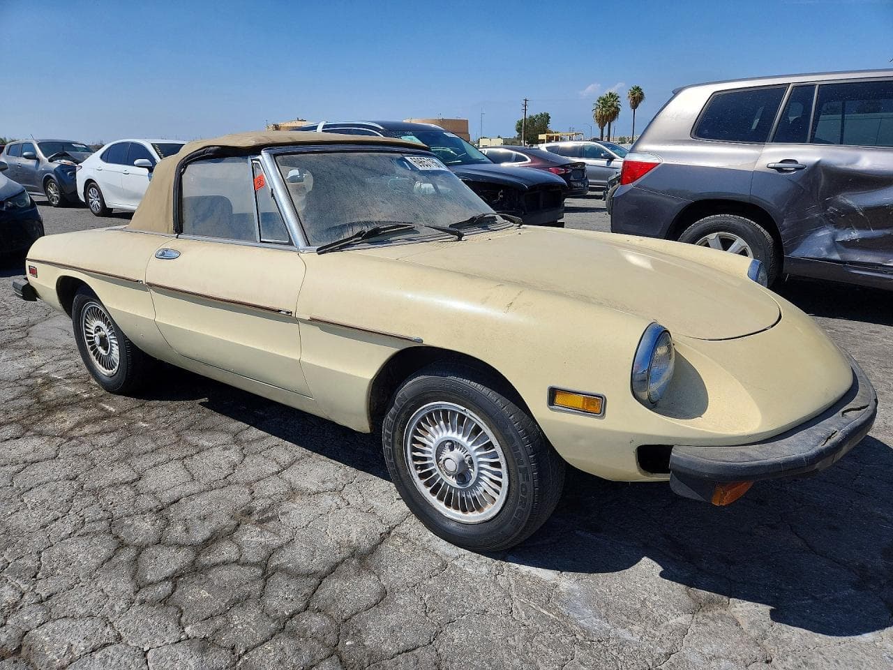 1978 Alfa Romeo Spider - foto 4