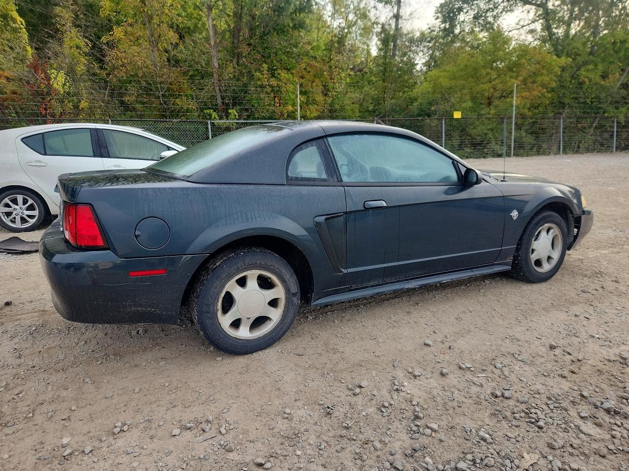 1999 Ford Mustang - foto 3