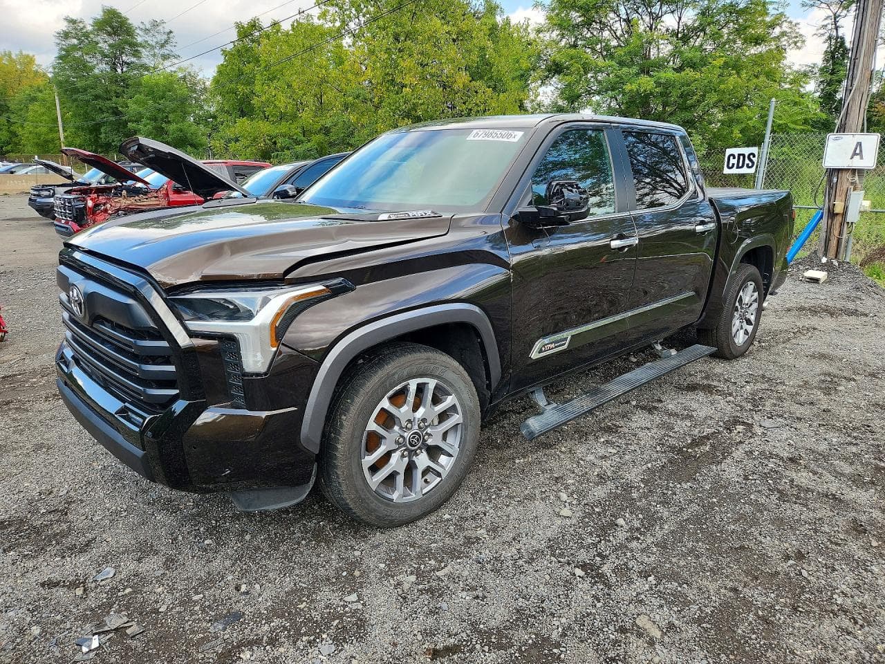 Toyota Tundra 2024 z USA