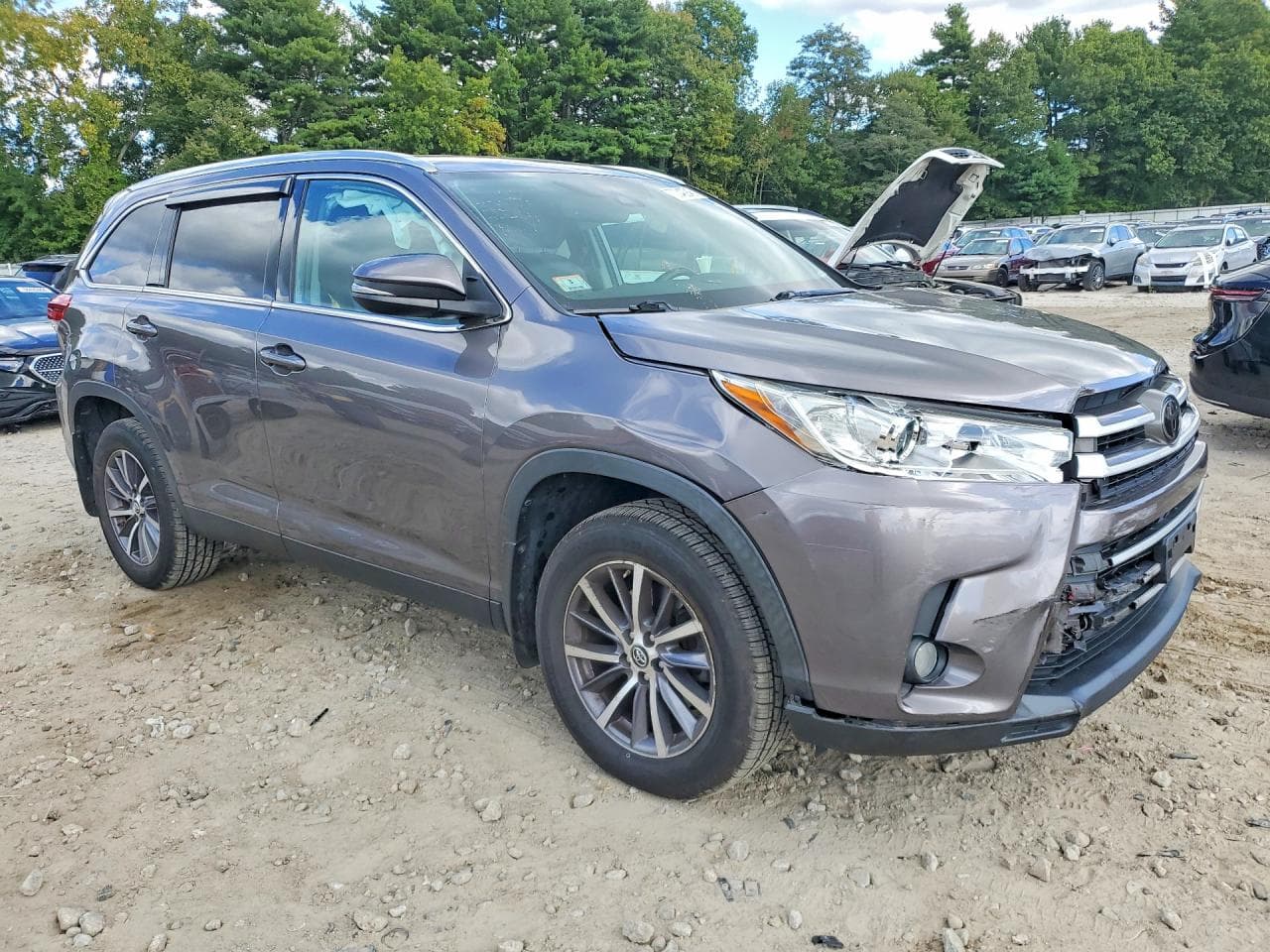 2019 Toyota Highlander Xle - foto 4