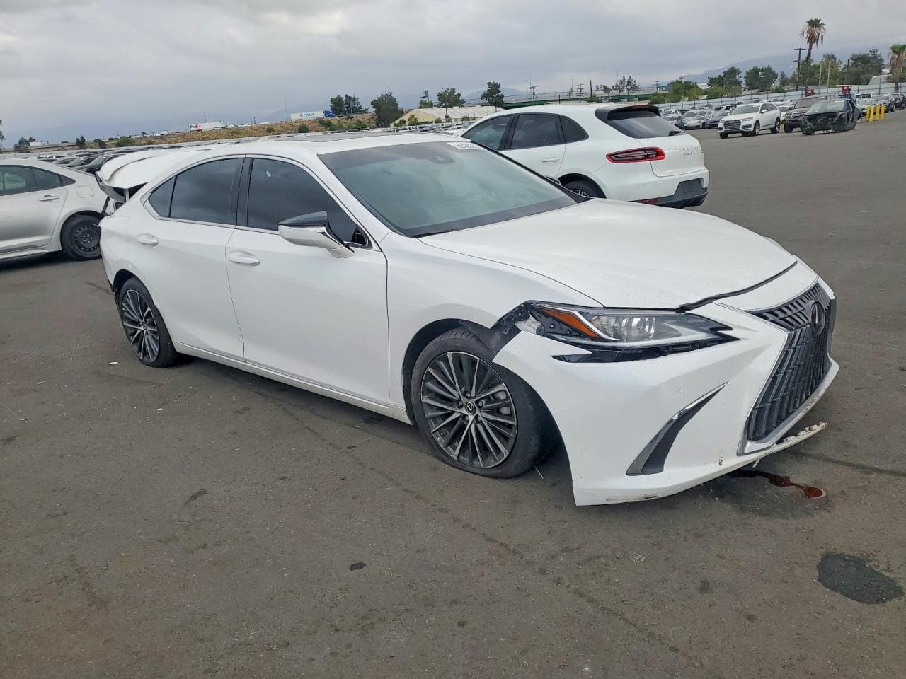 2025 Lexus Es 300H Base - foto 4
