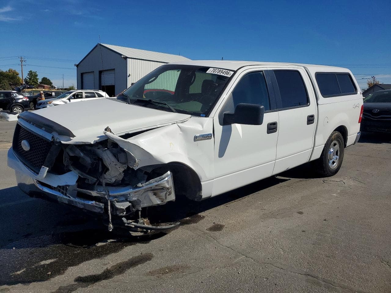 Ford F-150 2006 z USA