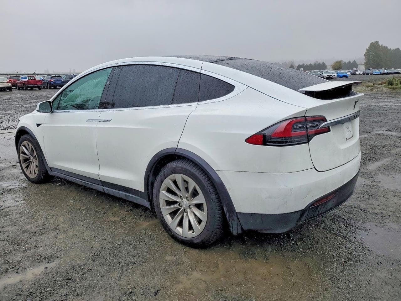 2019 Tesla Model X - foto 2