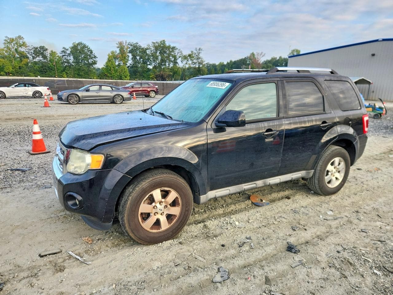 2010 Ford Escape Limited