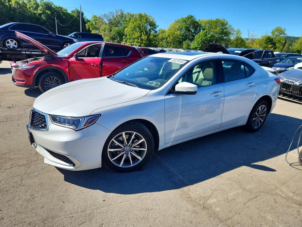 Acura TLX 2019 z USA
