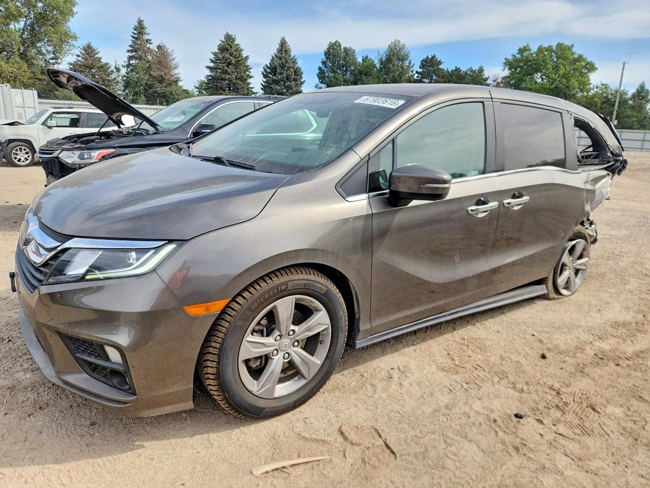 2019 Honda Odyssey Exl