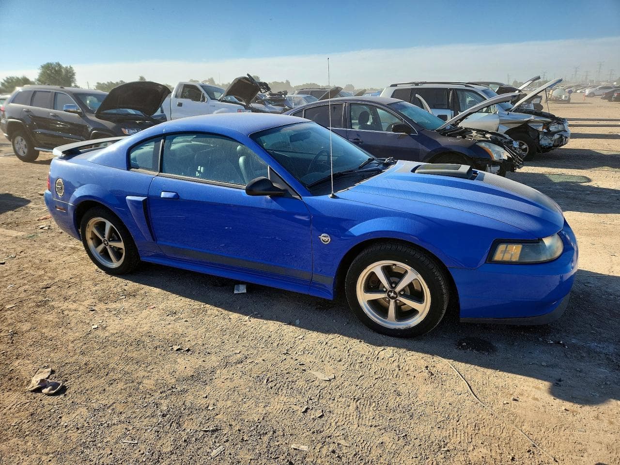 2004 Ford Mustang Mach I - foto 4