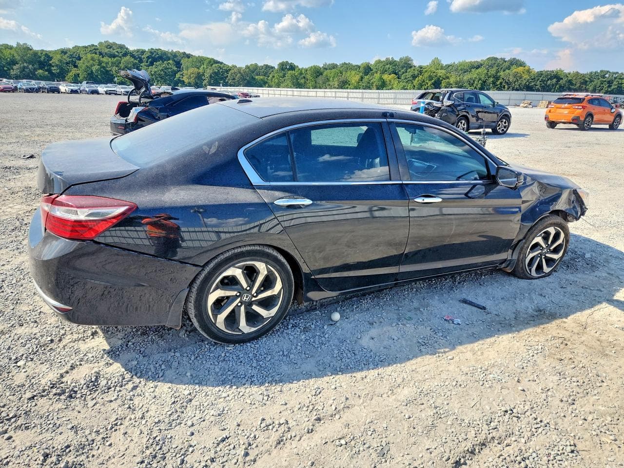 2016 Honda Accord Ex - foto 3