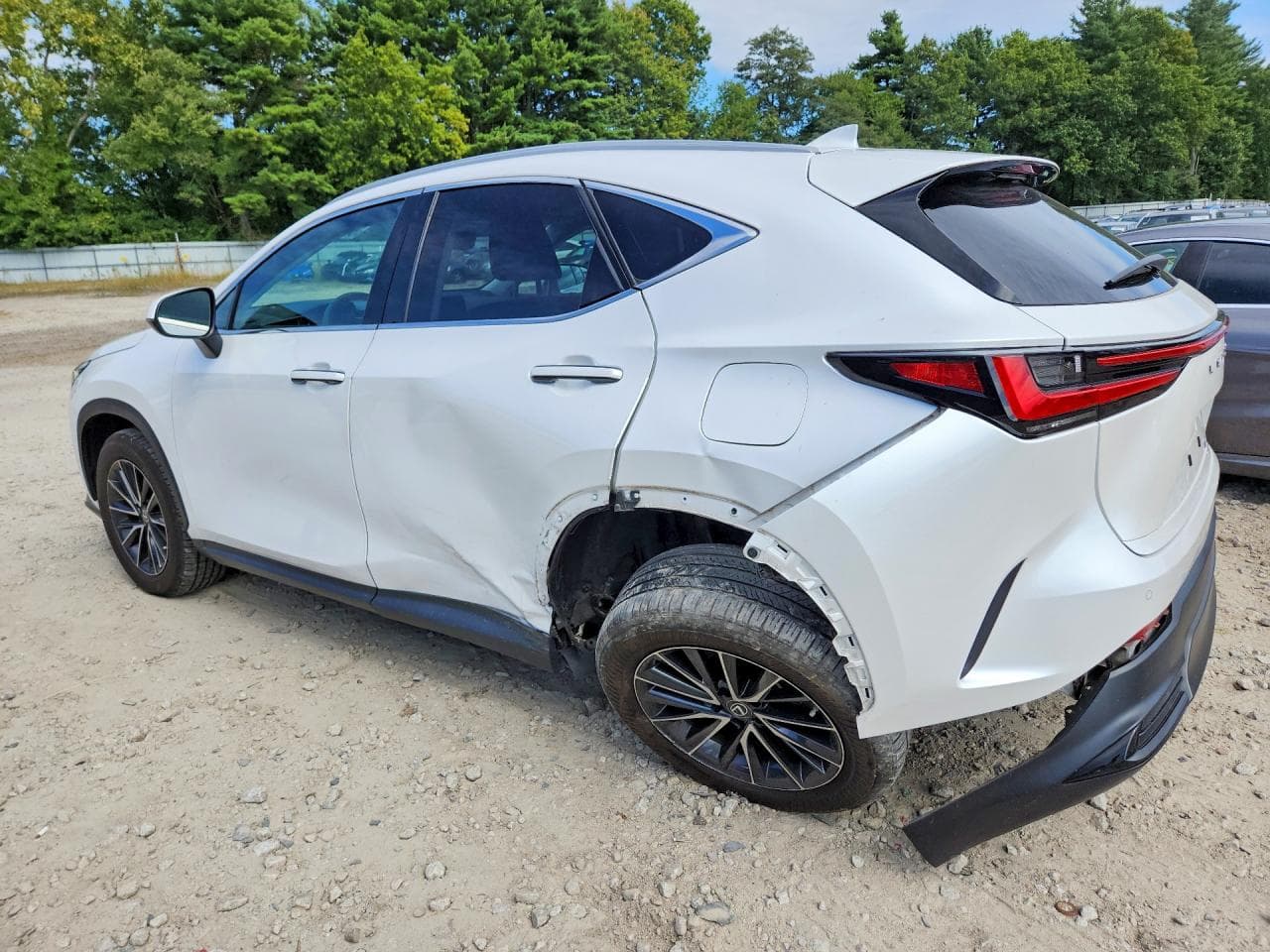 2022 Lexus Nx 350 - foto 2