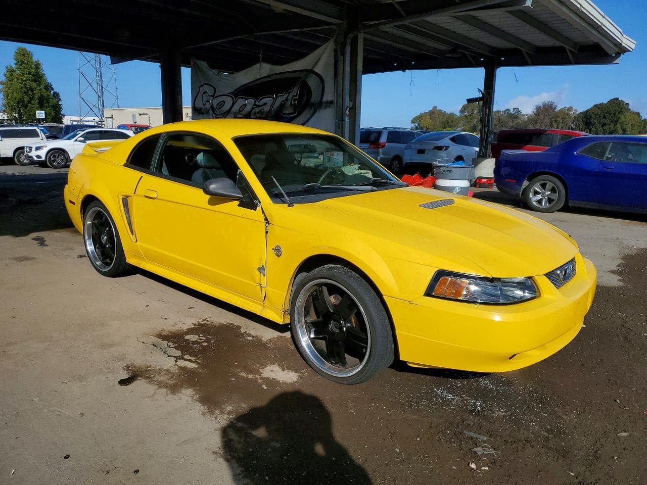 1999 Ford Mustang - foto 4