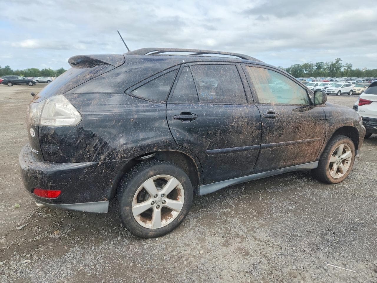 2004 Lexus Rx 330 - foto 3
