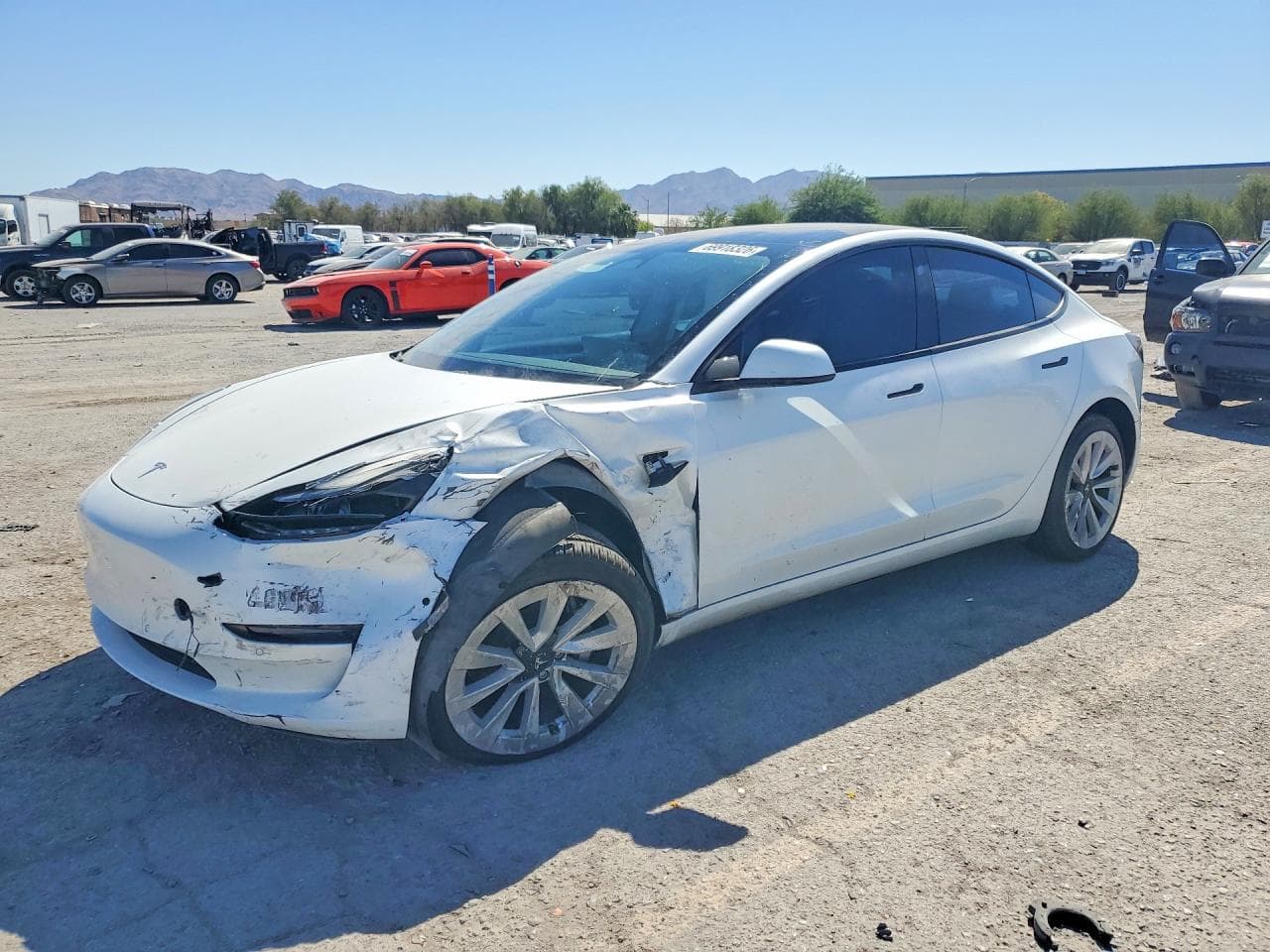 Tesla Model 3 2021 z USA