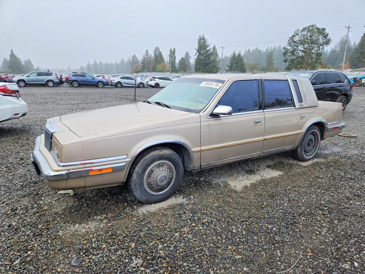 Chrysler New Yorker 1991 z USA