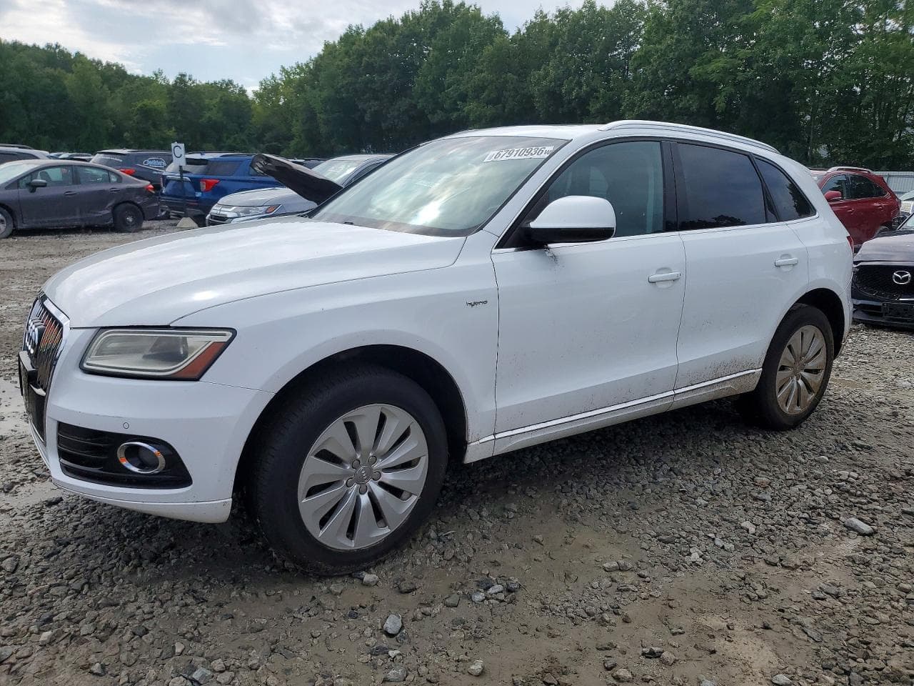 Audi Q5 2013 z USA
