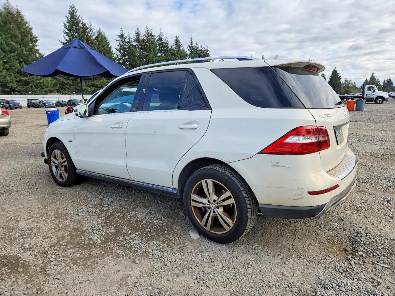 2012 Mercedes-Benz Ml 350 4Matic - foto 2