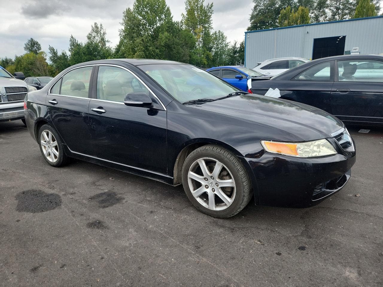 2005 Acura Tsx - foto 4