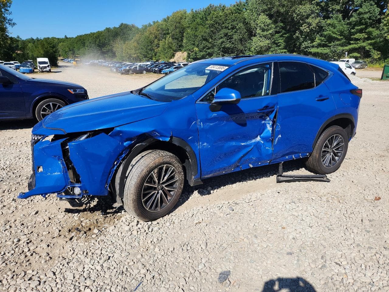 Lexus NX 2023 z USA