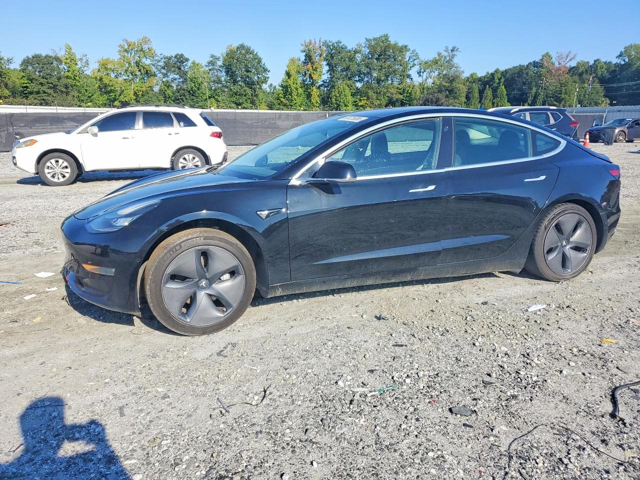 Tesla Model 3 2019 z USA