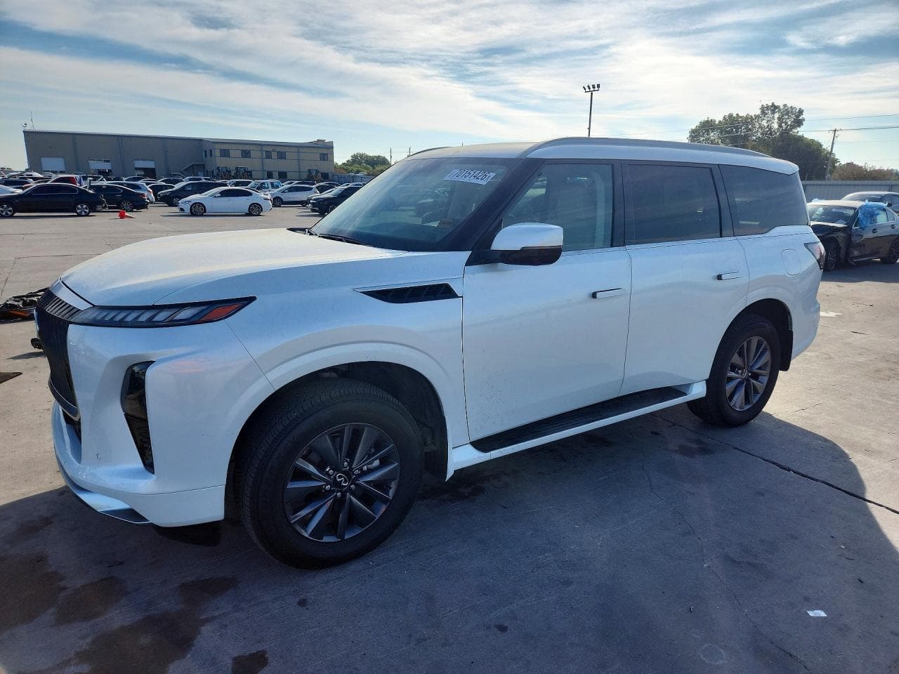 Infiniti QX80 2025 z USA