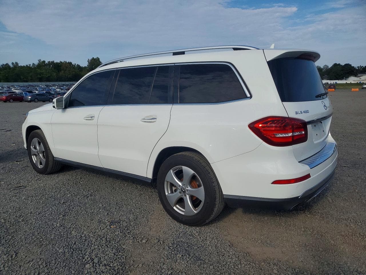 2019 Mercedes-Benz Gls 450 4Matic - foto 2