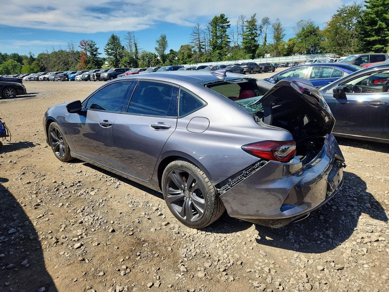 2023 Acura Tlx A-Spec - foto 2