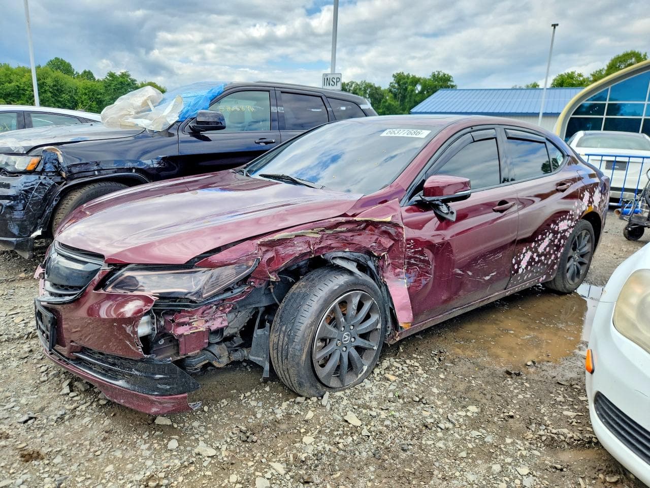 Acura TLX 2016 z USA