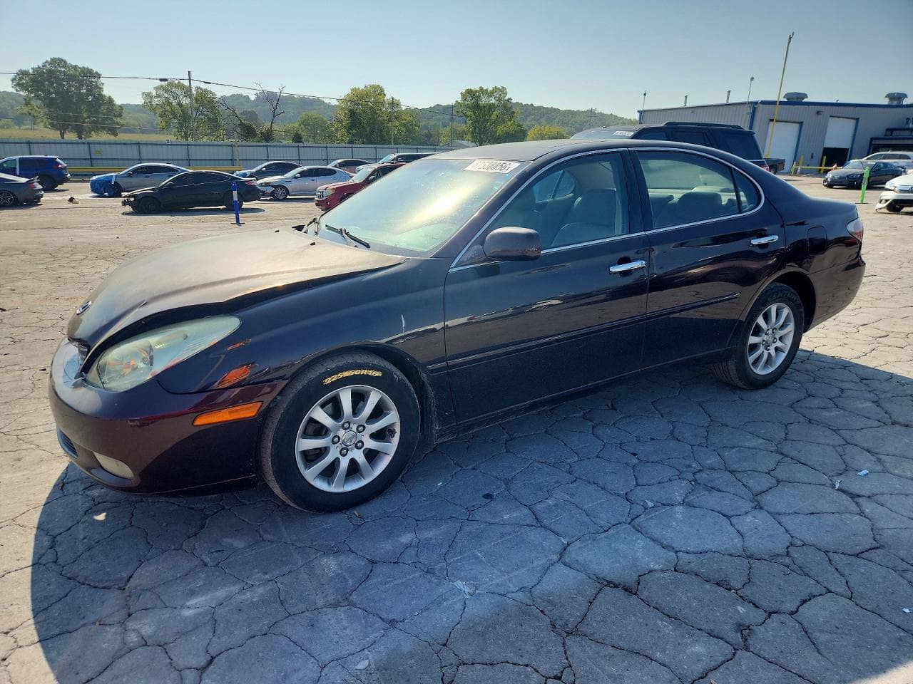 Lexus ES 2004 z USA