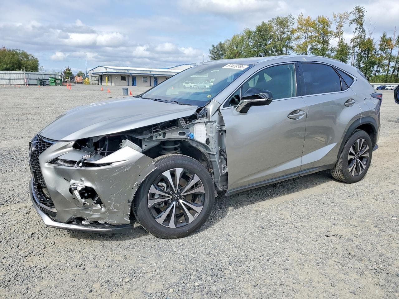 Lexus NX 2019 z USA