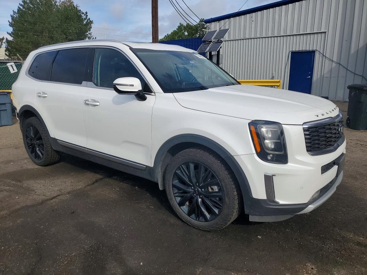 2021 Kia Telluride Sx - foto 4