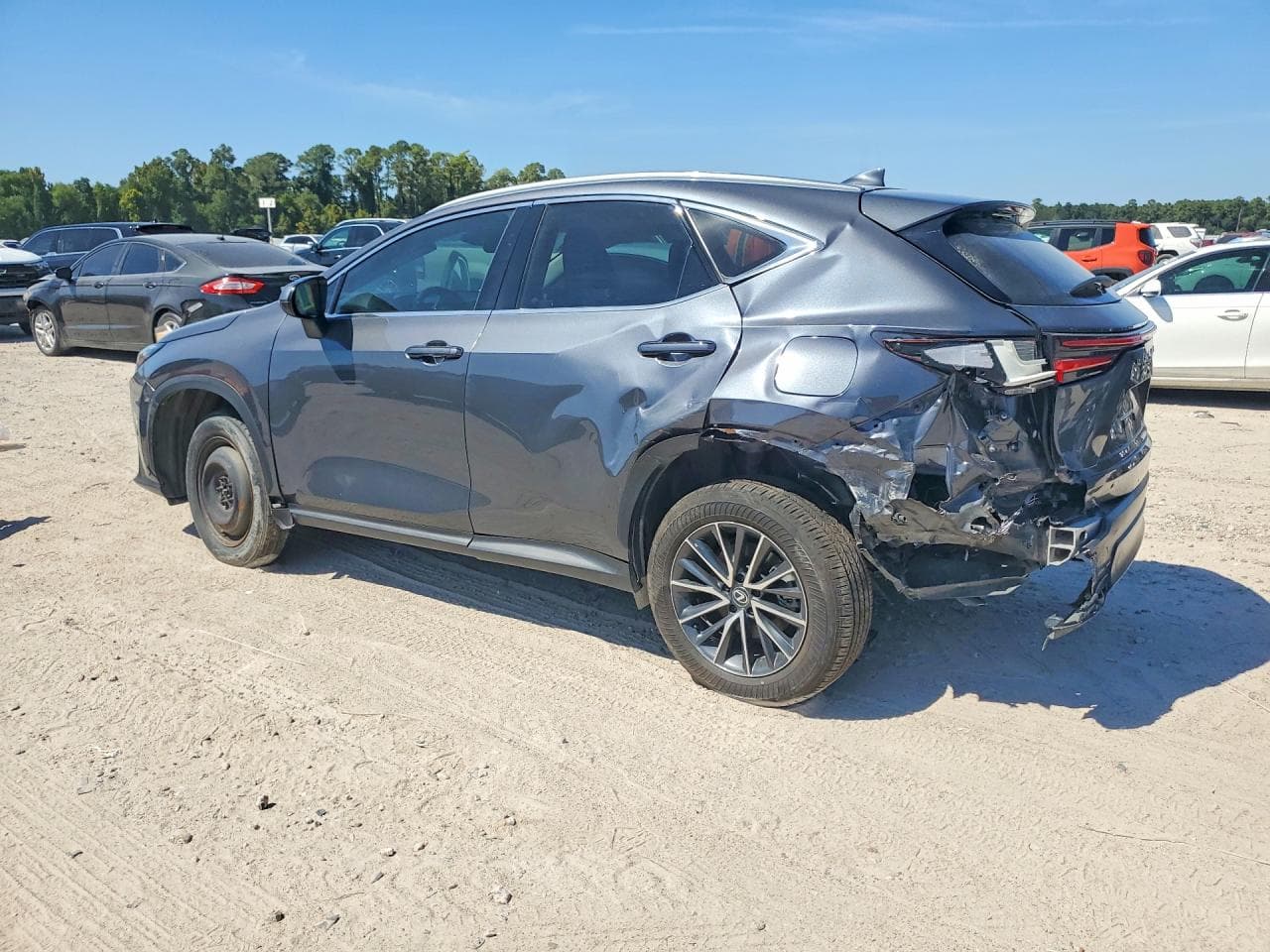 2024 Lexus Nx 250 Premium - foto 2