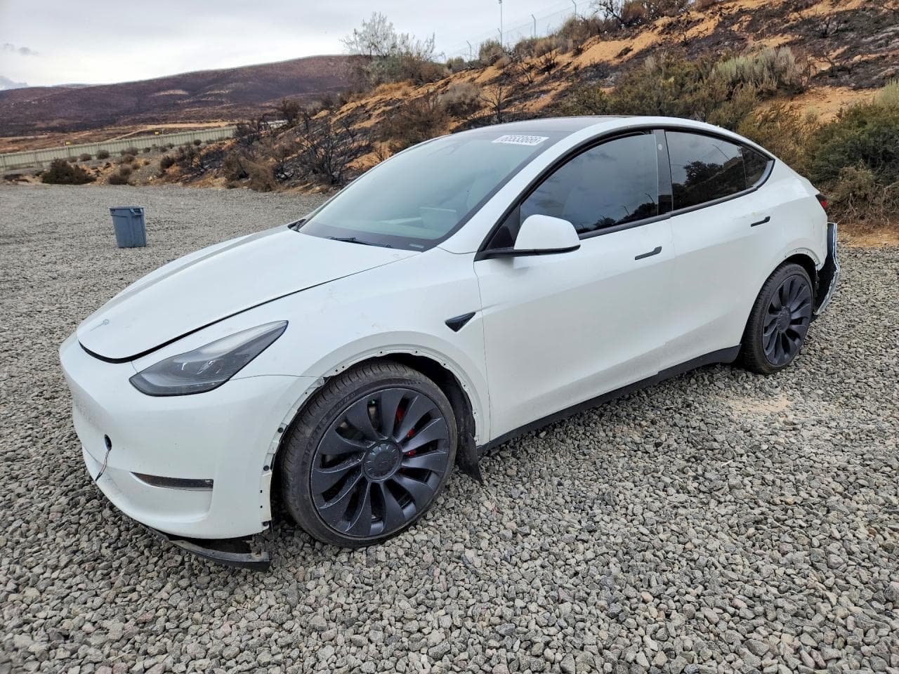 Tesla Model Y 2023 z USA