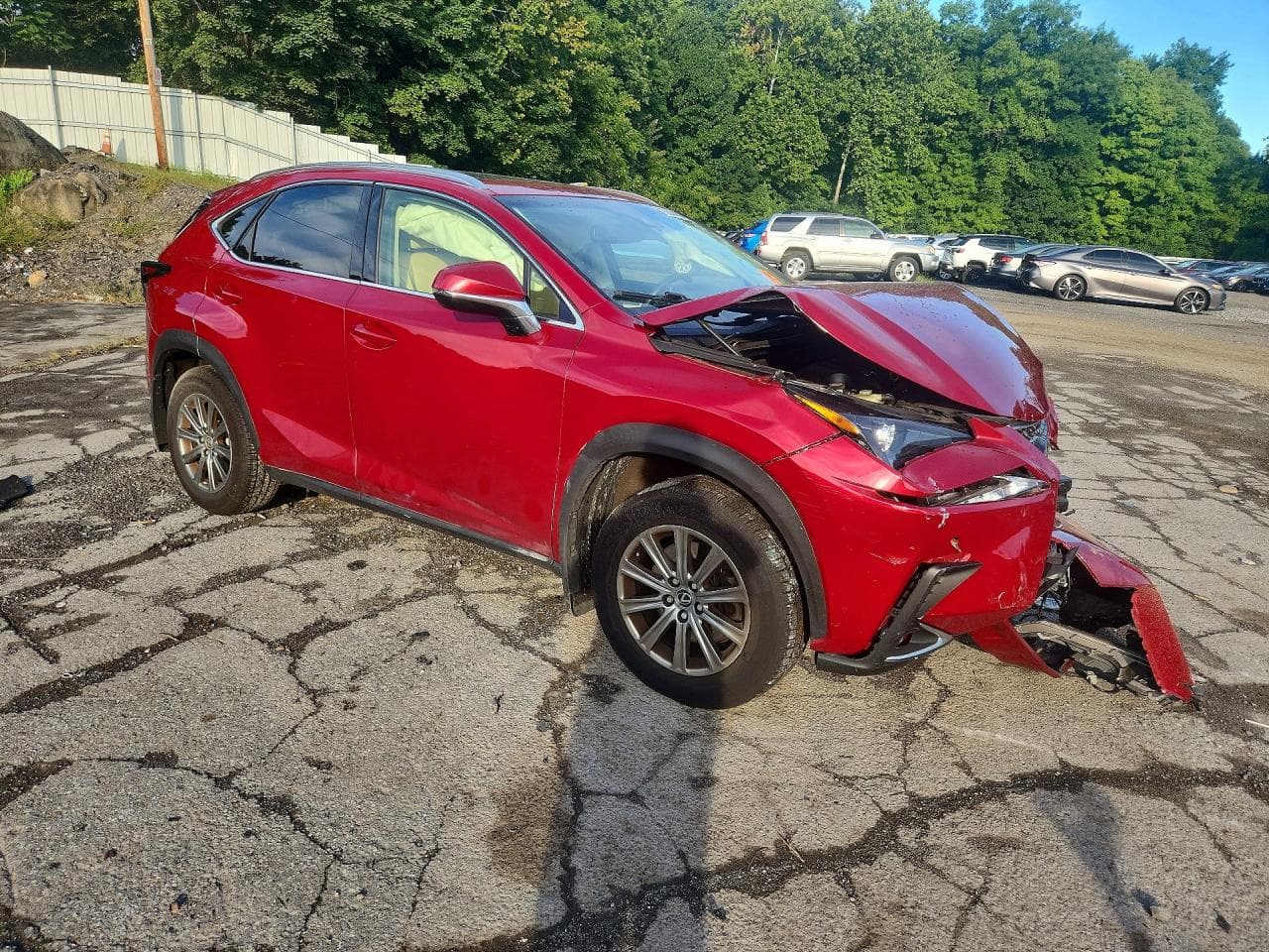 2019 Lexus Nx 300 Base - foto 4