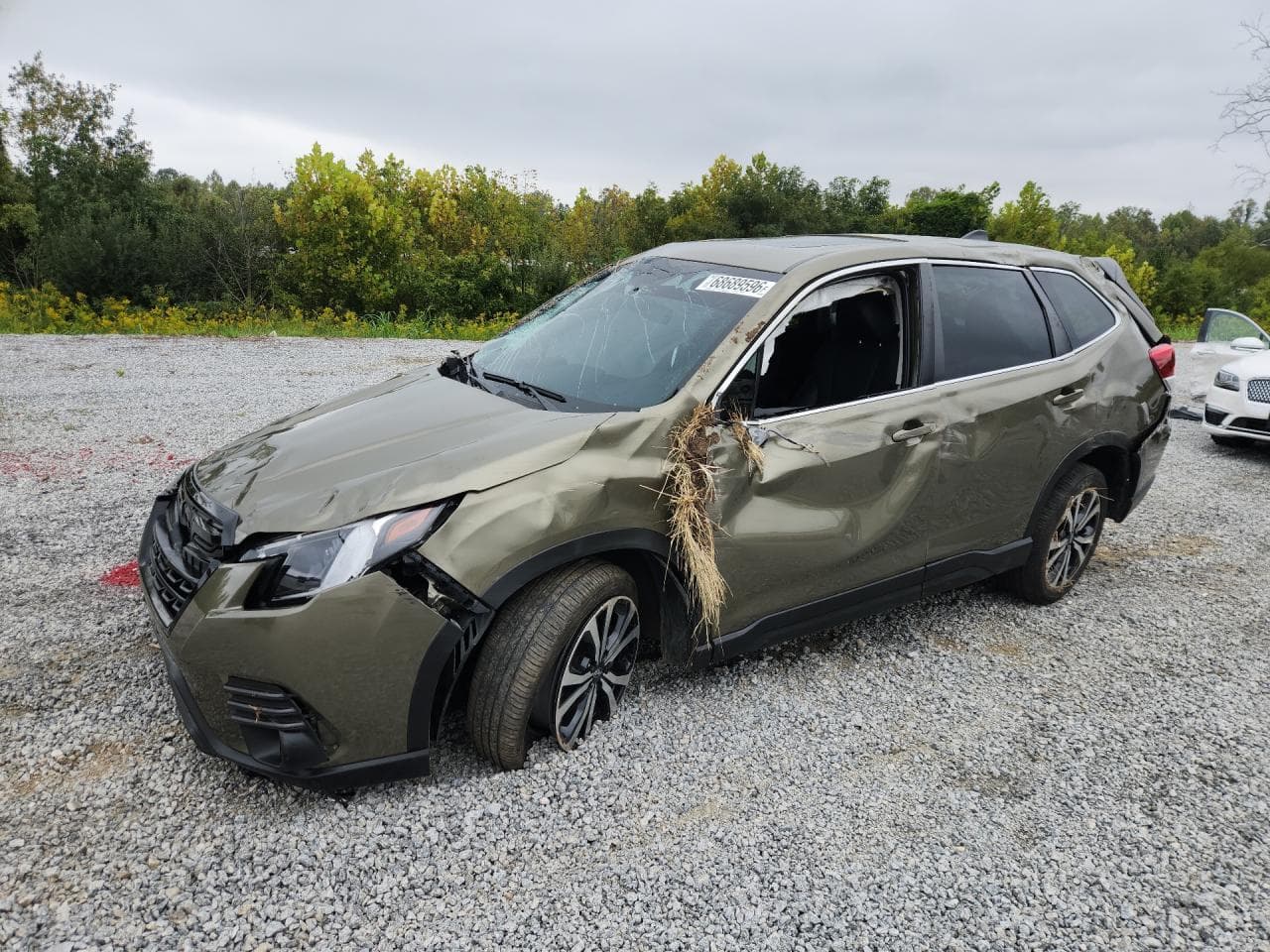 Subaru Forester 2024 z USA