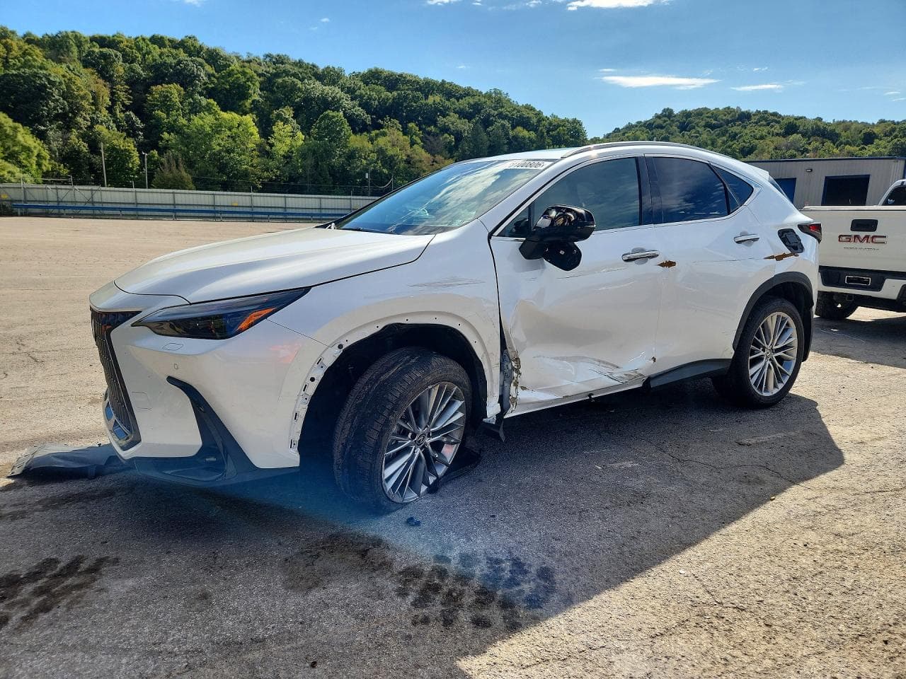 Lexus NX 2024 z USA
