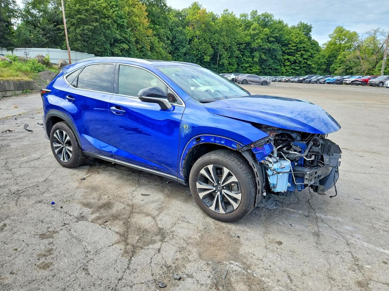 2021 Lexus Nx 300 F Sport - foto 4