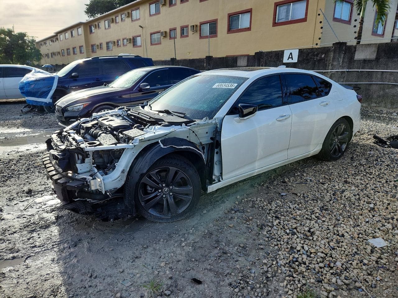 Acura TLX 2022 z USA