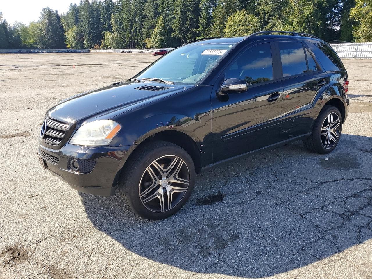 Mercedes-Benz M-klasse 2006 z USA