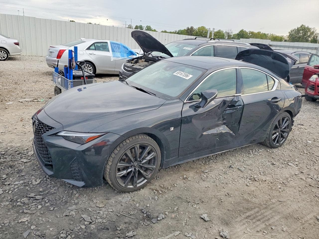 Lexus IS 2024 z USA