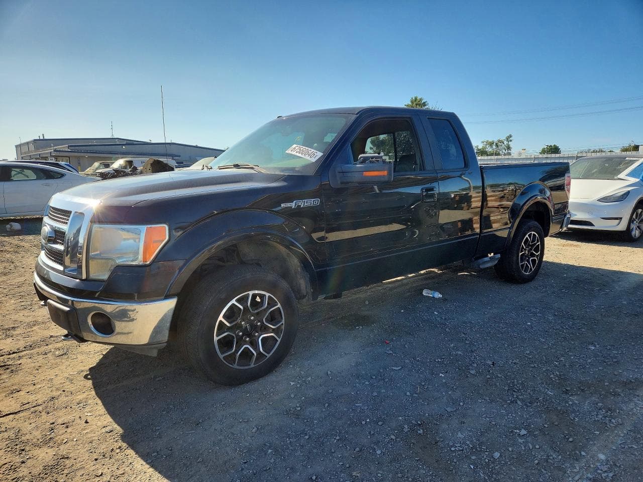 Ford F-150 2009 z USA