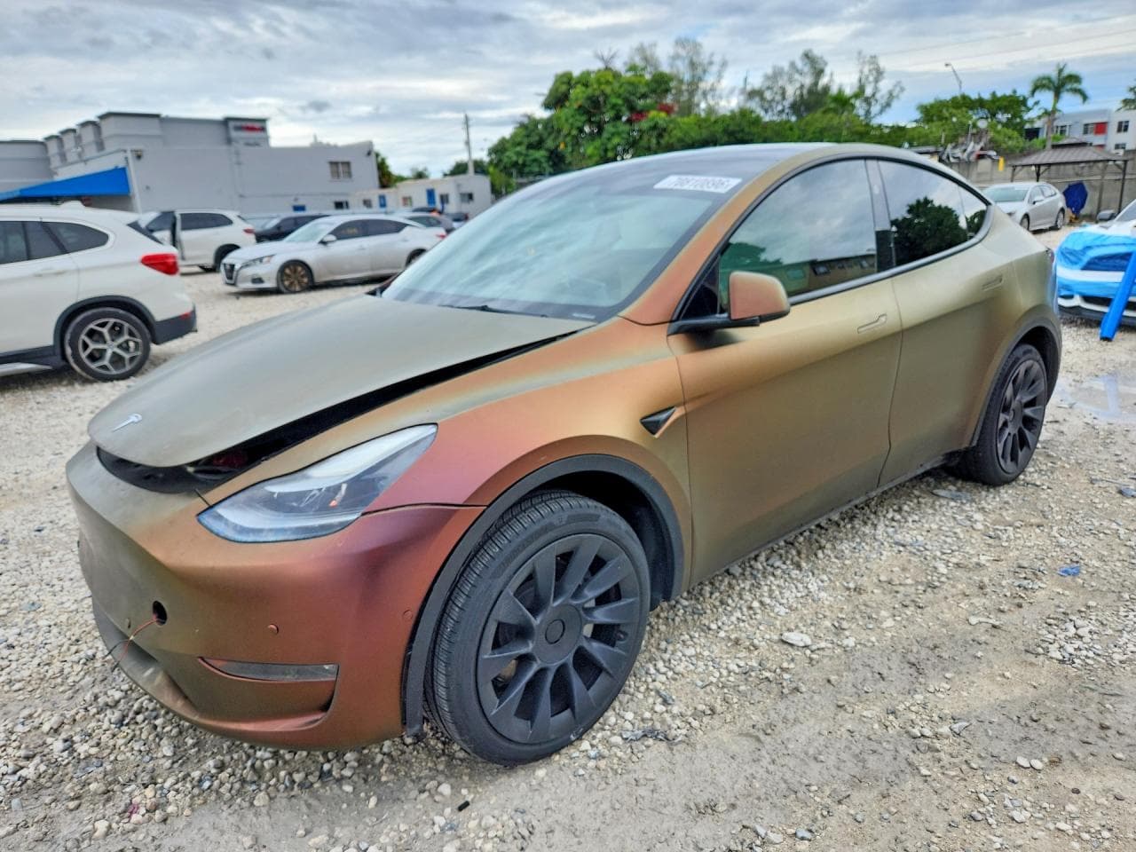Tesla Model Y 2023 z USA