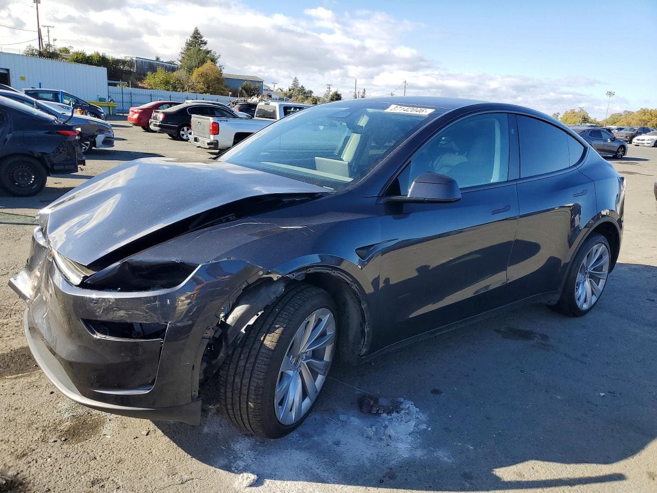 2026 Tesla Model Y