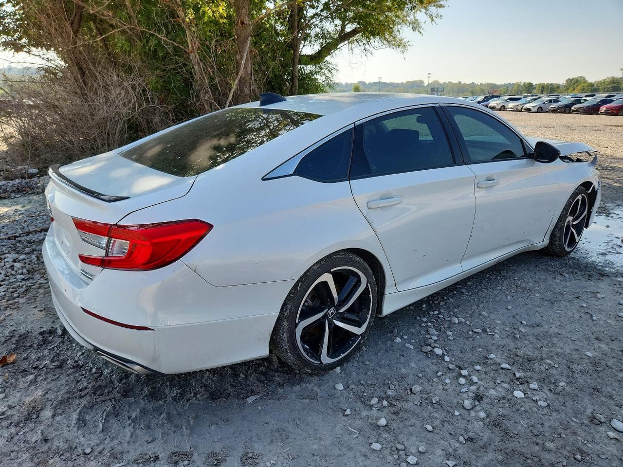 2021 Honda Accord Sport Se - foto 3