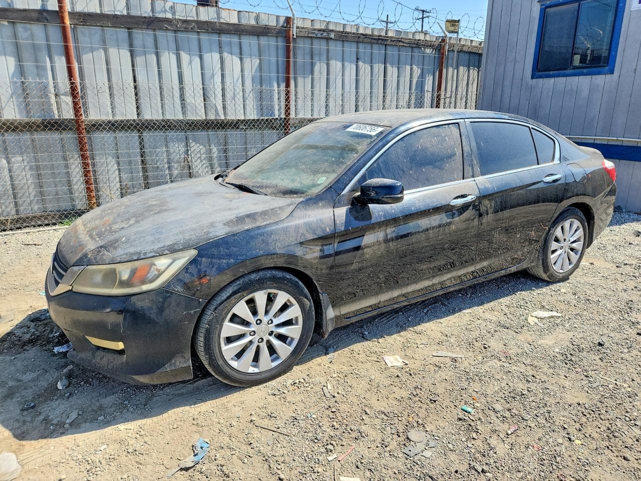 Honda Accord 2013 z USA