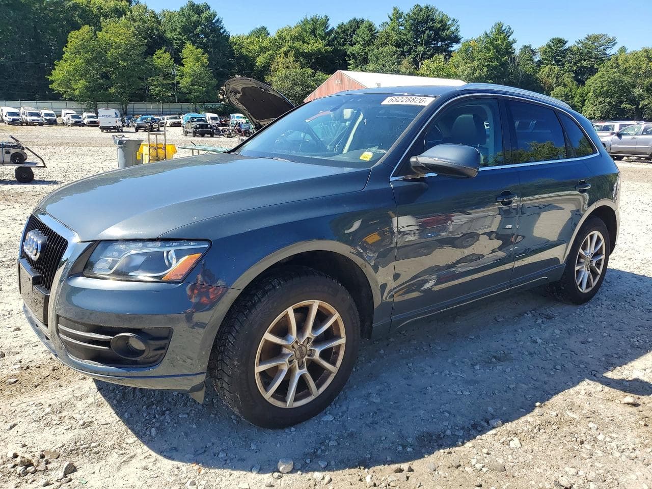 Audi Q5 2010 z USA